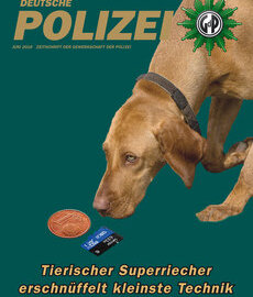 © Foto: GdP-Bezirk Bundespolizei | Zoll